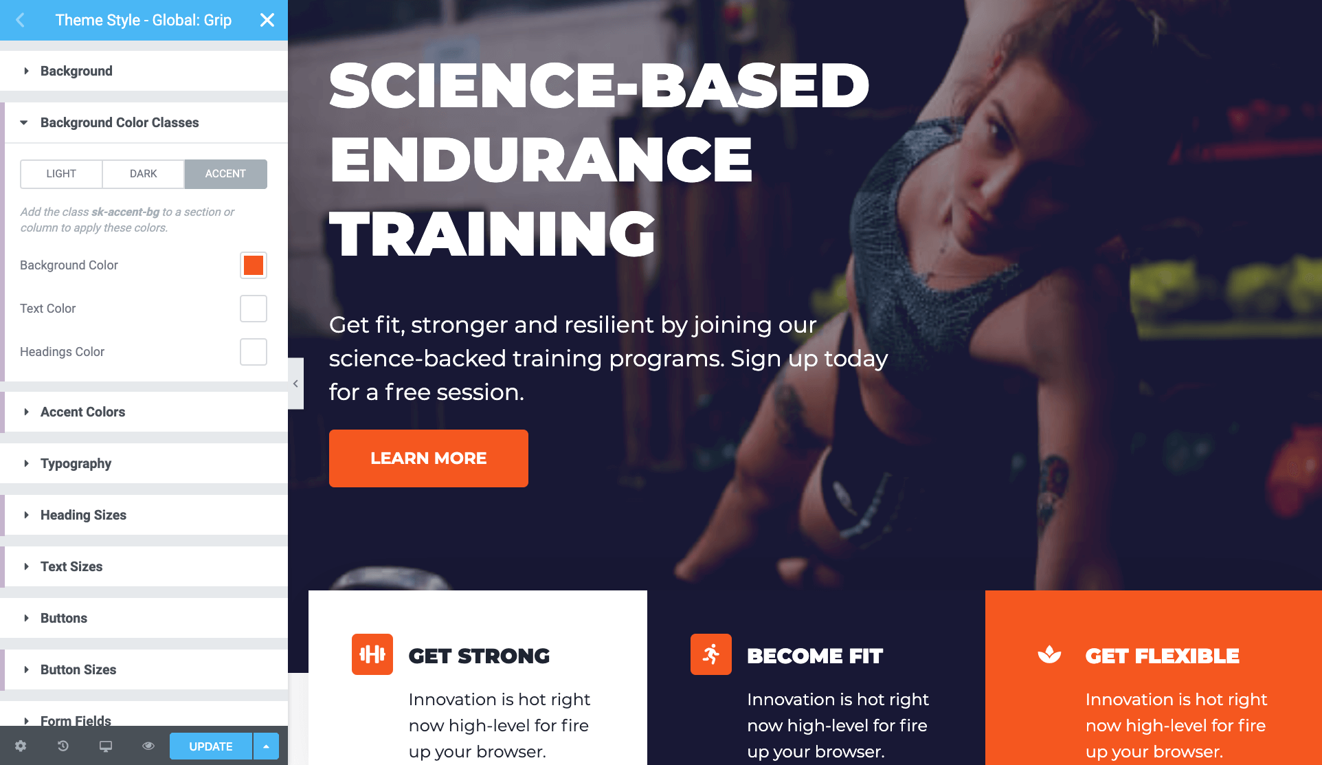 Elementor Theme Styles Extending global design control with Style Kits